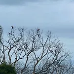 Minas Em Marambaia