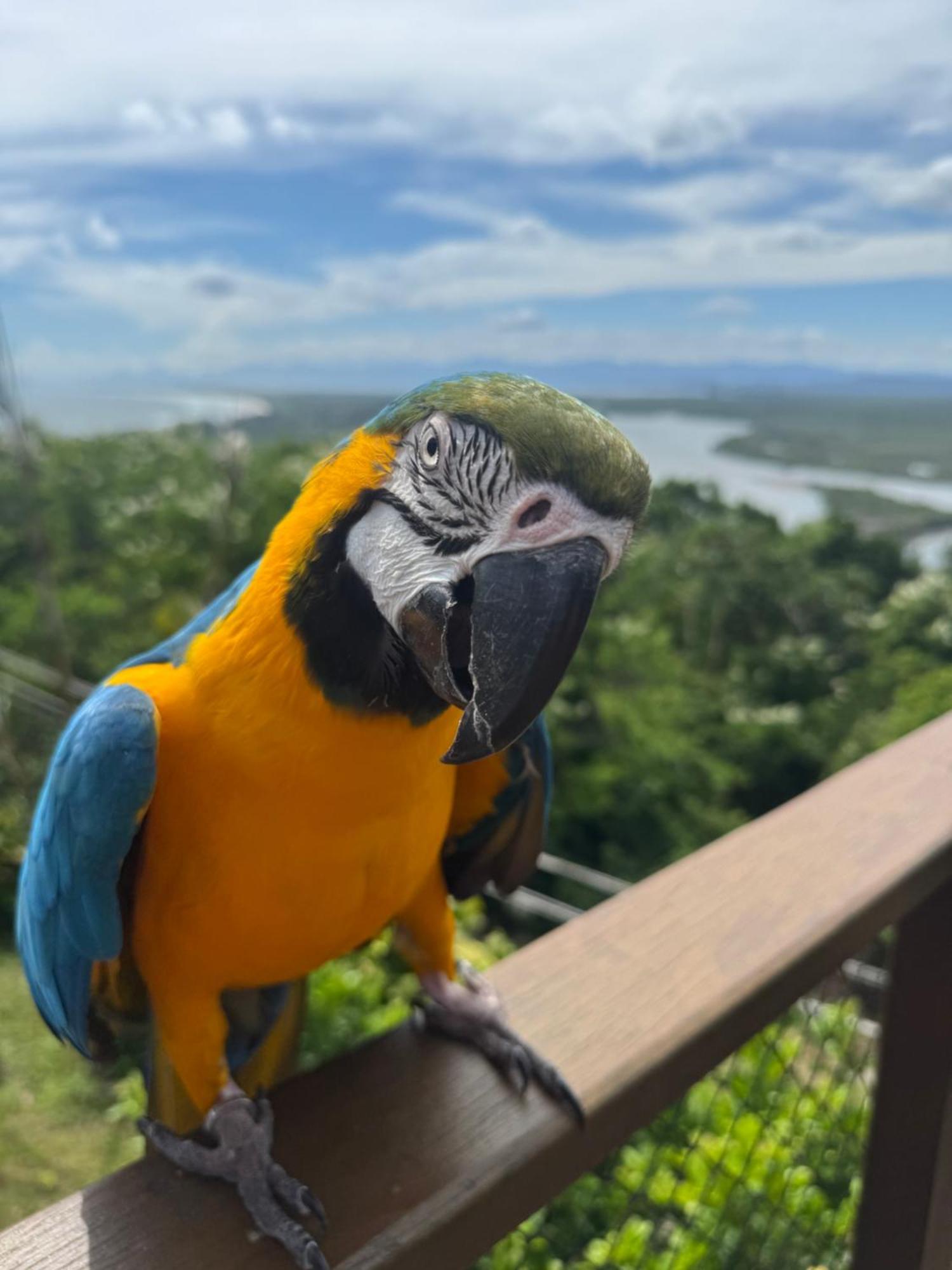 Minas Em Marambaia Pensión Río de Janeiro